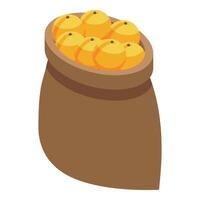 Full burlap sack overflowing with fresh oranges vector
