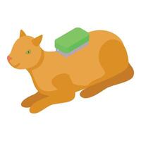 Cute red cat lying down getting brushed vector