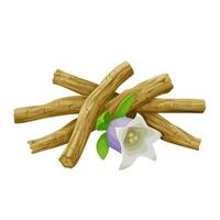 Illustration of roots and flowers of Codonopsis pilosula, also known as Dangsam or Dangshen, isolated on white background. vector