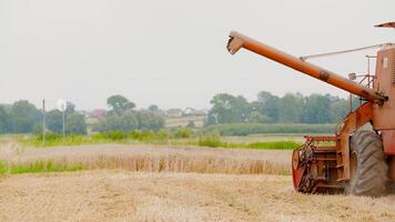 Unloading screw a combine harvester. Unloading grain from a combine harvester into a truck body. Rice harvesting by the combine. Autumn harvesting on photo