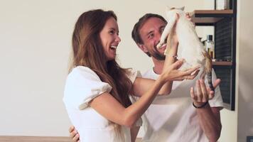 A young man brought a small kitten home. The girl meets him and rejoices video