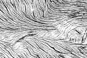 Transparent wood pattern texture for background grunge effect vector