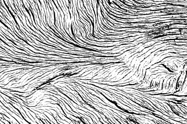 Transparent wood pattern texture for background grunge effect
