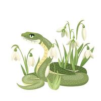 Snake with early spring flowers snowdrops illustration template for 2025 Year of Snake White snowdrop composition with symbol of Chinese new year. Typography for print, tee, card, flyer, banner vector
