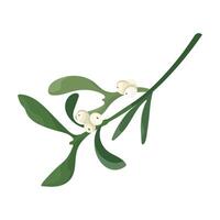 Mistletoe branch with white berries. christmas sprig of mistletoe isolated on white background. Design frame element for print, card, flyer, banner vector