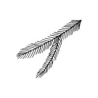 Hand drawn coniferous branch. illustration of pine and spruce branches vector