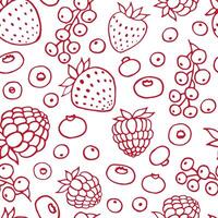 Seamless pattern with berries. Hand drawn illustration in outline style. vector