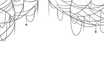 Halloween themed background featuring a spider web design. Simple line art of a spider web. vector