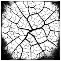 Textured Cracked Surface with Distressed Edges in Black and White vector