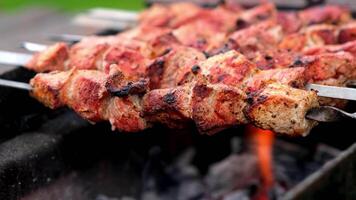 Close-up of delicious grilled kebabs on skewers cooking over a barbecue. Ideal for highlighting outdoor grilling and savory flavors video
