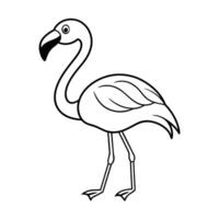 flamingo-on-white-background illustrator Artwork vector