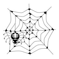 illustration on a white background web with a spider vector