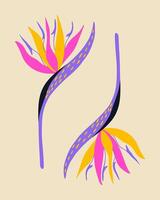 Exotic strelitzia flower is trippy in color. Tropical flower from the jungle. element for poster, background. vector