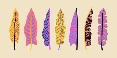Collection groovy tropical leaves. Hawaiian palm and banana leaves. Texture tiger, zebra, leopard. Botanical elements vector