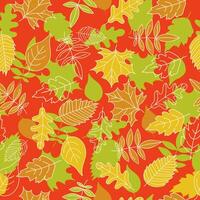 Autumn pattern, set of leaves, maple leaf, rowan leaf, oak leaf. Doodle, drawings, sketch. Autumn season, leaf fall, autumn leaves. vector