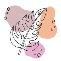 Monstera tropical leaf in hand drawn line style with abstract spots vector