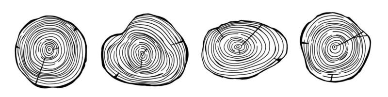 Tree rings texture in hand drawn doodle style vector