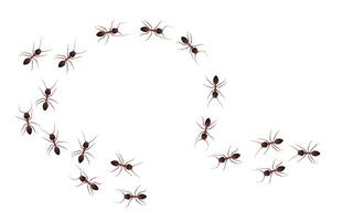 Ant trail marching in circle shape vector