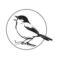 Bird on a branch stock image. Circle Bird Logo Stock Illustrations isolated on white vector
