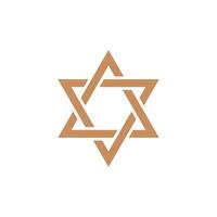 star od David icon in trendy flat design vector