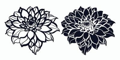 two black and white flowers are shown on a white background vector