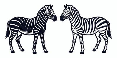 two zebras standing side by side on a white background vector