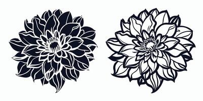 two black and white flowers are shown in the same style vector