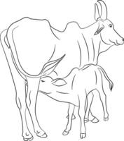 Calf feeding milk from her mother cow, hand drawn in thin line style vector