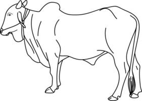 Indian Bull, Zebu bull, Brahman cattle. Hand drawn style Illustration vector