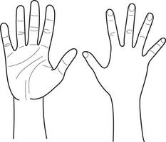 Human hands, human palms and wrist, Hand drawn in thin line style vector