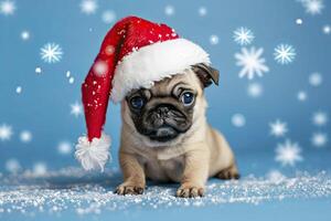 Funny pug puppy with christmas hat on blue background. photo