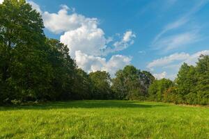 large open field with a clear blue sky and trees in the background photo