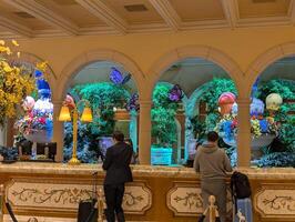 LAS VEGAS - 08.07.2024 Reception desk at the Bellagio Hotel Conservatory and Botanical Gardens. Every year the Conservatory implements five seasonal themes. photo