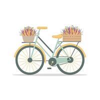 Retro bicycle with colorful flowers in crate and basket. Hand drawn bike on white background. Illustration in flat style vector