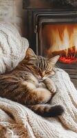 Cozy Feline Snoozing by the Crackling Fireplace in a Warm Fuzzy Knit Blanket photo