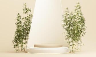 Product display podium geometric shape with nature leaves on white background. 3D rendering photo
