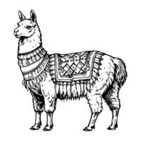 Llama standing calmly with a neutral expression vector
