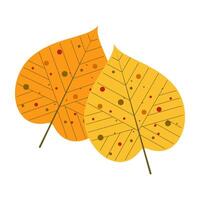 Illustration of autumn decorations and frames. Colorful Autumn Leaves Illustrations with Vibrant Patterns and Natural Designs. vector