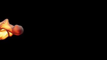Slow motion 3D animation of an explosion. The file contains an Alpha Channel. video