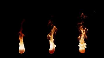 3D animation set of three types of burning fire flames. With Alpha Channel. video