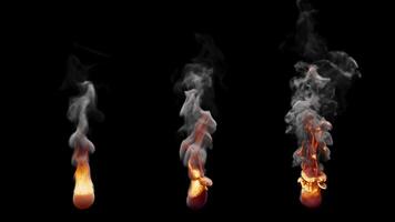 3D animation set of three types of burning fire flames. With Alpha Channel. video