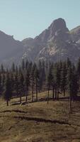 Landscape view of the mountain range with trees in the fall video