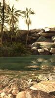 Colorful scene with a palm tree over a small pond in a desert oasis video