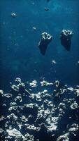 Many big asteroids in space, vertical video