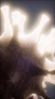 Bacteria virus or germs microorganism cells under microscope with depth video