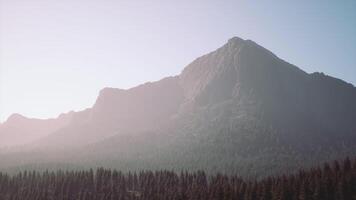 A view of a mountain with trees in the foreground video