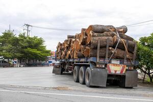 A view from the back of a steel trailer loaded with huge log trunks. photo