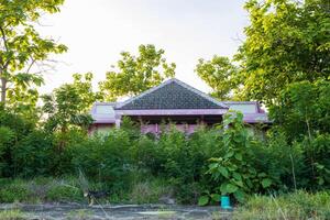 Close-up view of an old pink house which is abandoned. photo