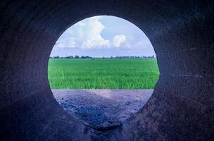 A view from a hole inside a large round concrete pipe. photo