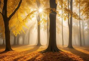 Autumn Background With Tree And Sunlight Golden Leaves On The Ground Scene Rays Of Light photo